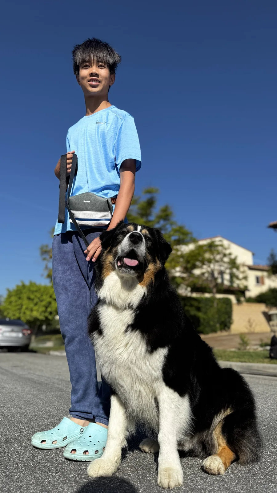 Dog and owner practicing calm obedience together